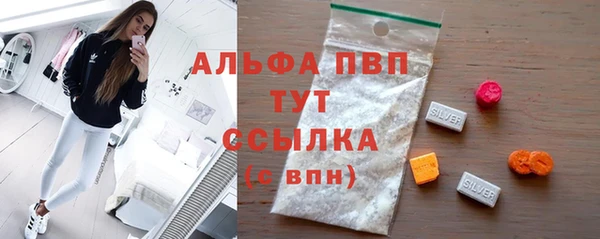 ГАЛЛЮЦИНОГЕННЫЕ ГРИБЫ Белокуриха