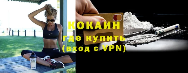 ГАЛЛЮЦИНОГЕННЫЕ ГРИБЫ Белокуриха