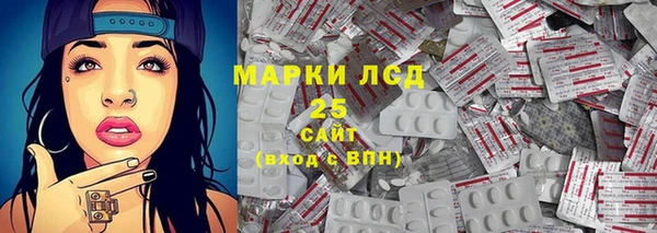 ГАЛЛЮЦИНОГЕННЫЕ ГРИБЫ Белокуриха