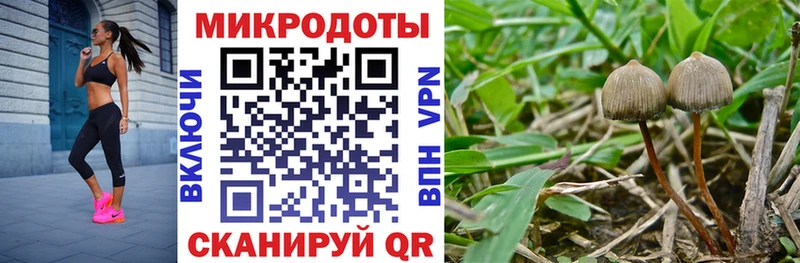 Псилоцибиновые грибы мухоморы Полесск
