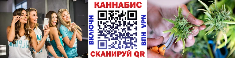 Канабис гибрид Полесск